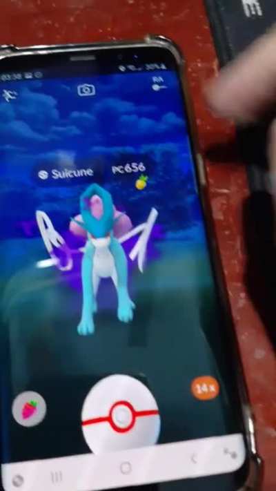 Bug: Can't throw the pokeball at catch screen after giving a fruit, but the other buttons still work (and it also occurred during shadow suicune, making me lose him)