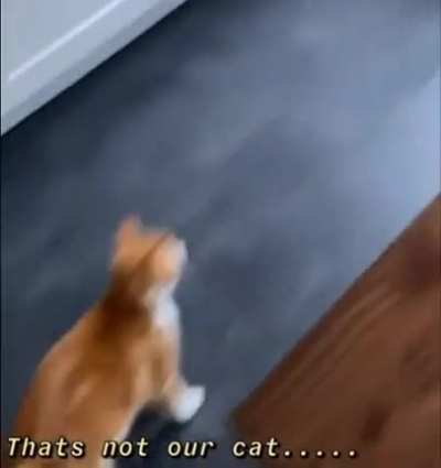 To sneak in