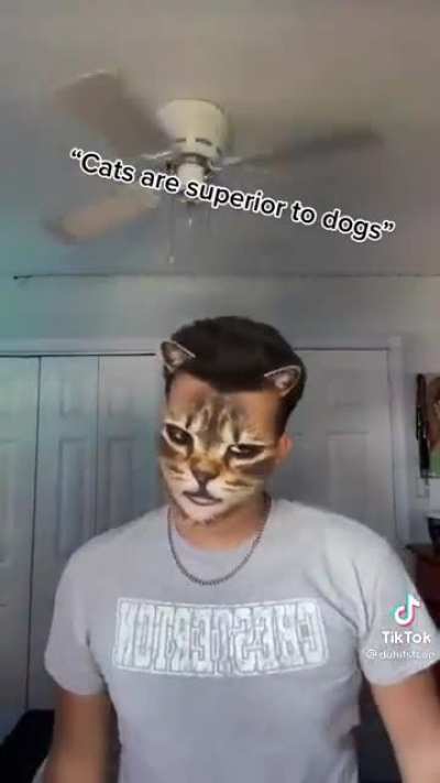 Oh no he&rsquo;s a cat ahh scary