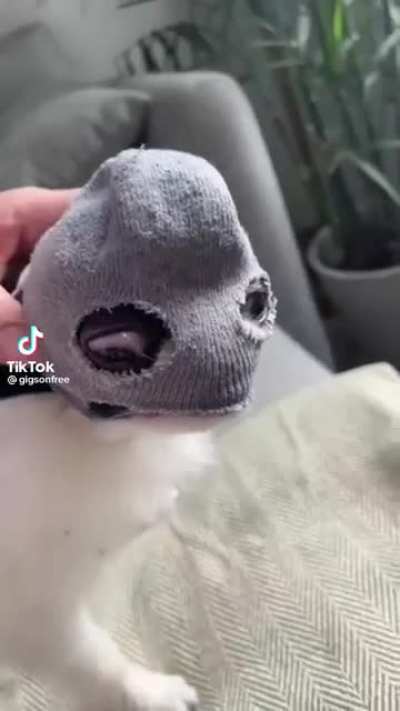 Poor guy looks like he's suffering 😭