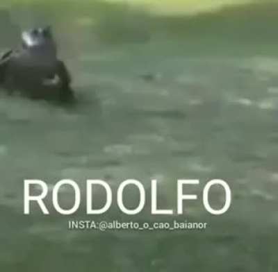 F