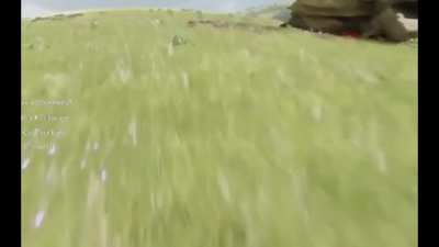 Video taken from 4chan leak, could be map testing of Elder Scrolls 6