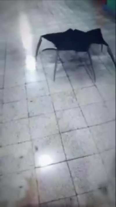 Cursed_umbrella