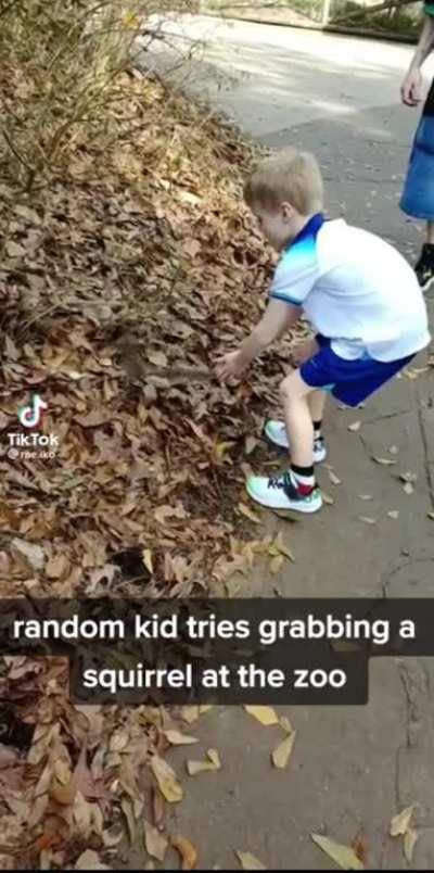 Insert title here