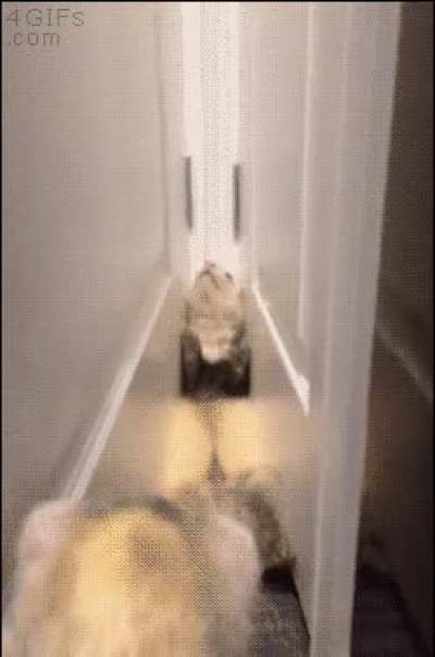 Hewp I'm stuck.