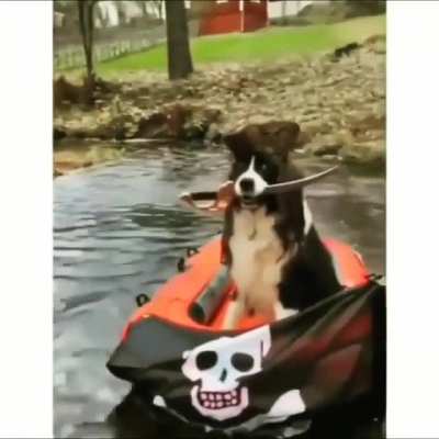 henlo captain ..I am here