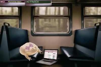 ich🐸iel