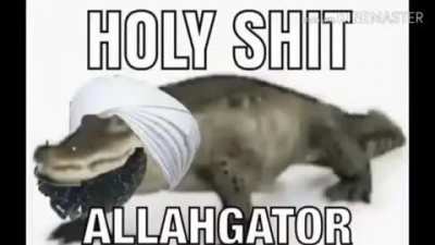 WTF ALLAHGATOR ALL PRAISE ALLAHGATOR HOLY ALLAH
