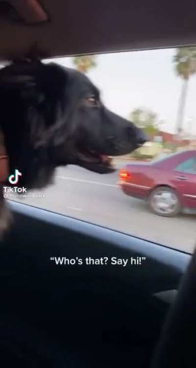 Hello-o-oo
