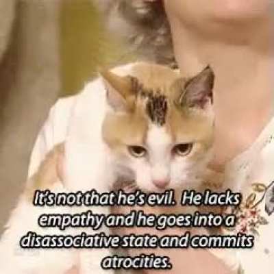 2meowirl4meowirl