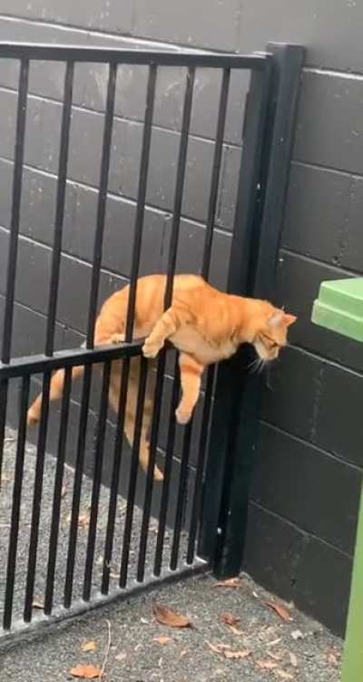 Тот самый парень, который есть в любой группе