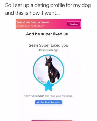 Tinder for your dog