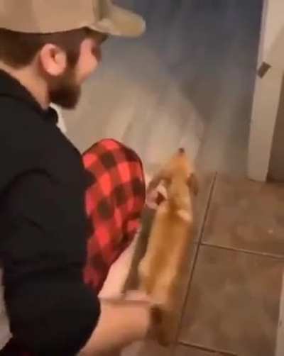 AAAHHH