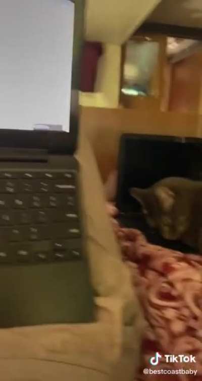 Computer