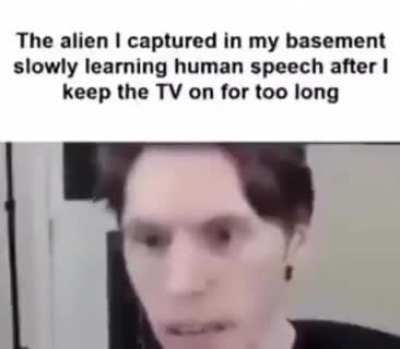 moldy jerma