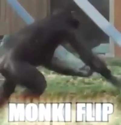 monki