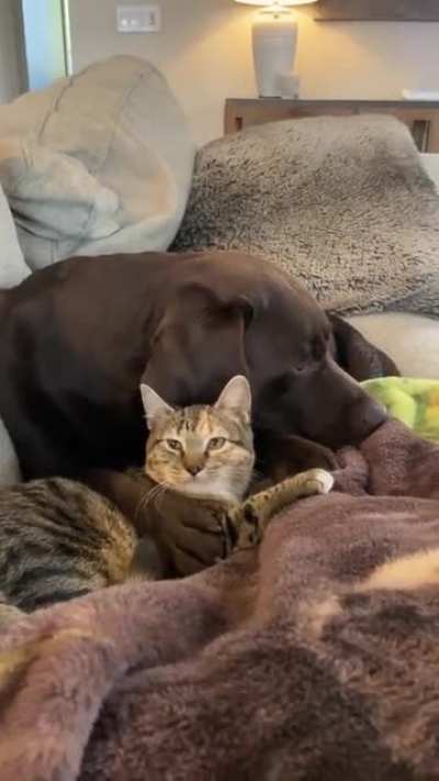 True lovers.