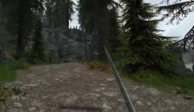 VR Skyrim w/ Mods