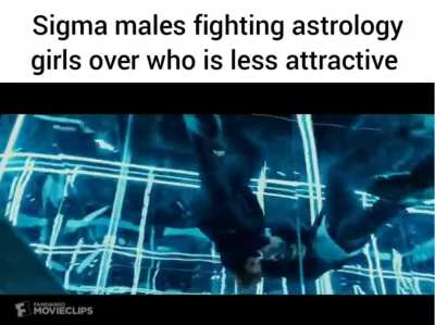 sigma/beta/alpha is just astrology but for guys