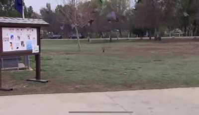 Playing Hunt with your overhyped friend for the first time&hellip;