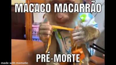 MacACOOOOO MACARR&Atilde;O 😫😫😫😫😫😱😱😱🍝🍝🍝🙈🙈