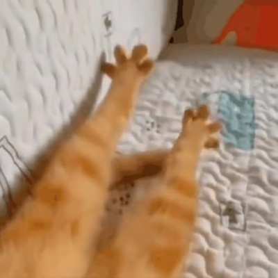 That legs stretching