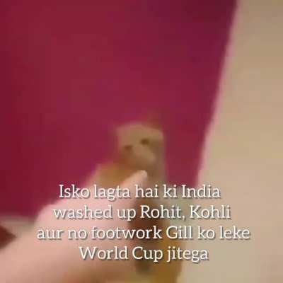 Title is from Mi quota