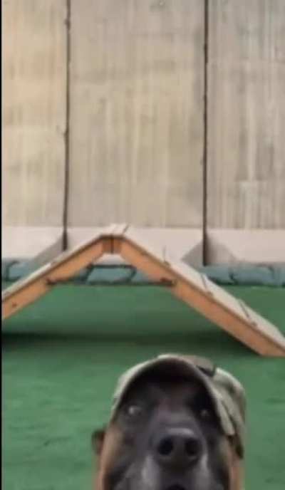 Nice throw