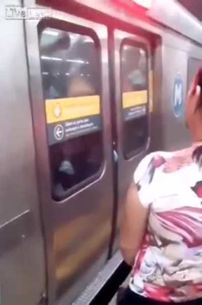 Idiot vs metro door