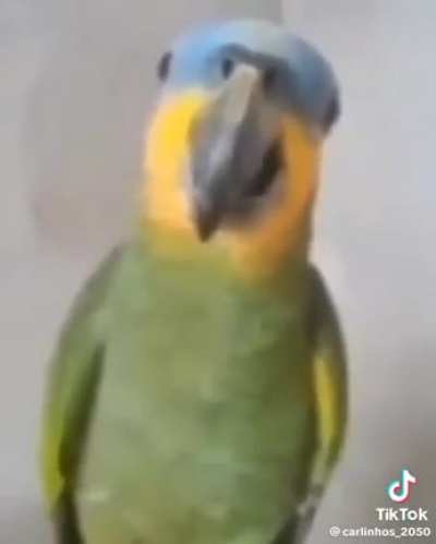 5200