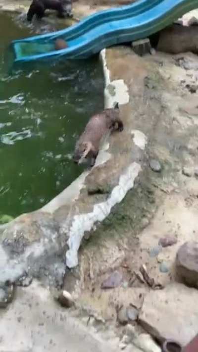 Didn&rsquo;t realize these guys were so fast!