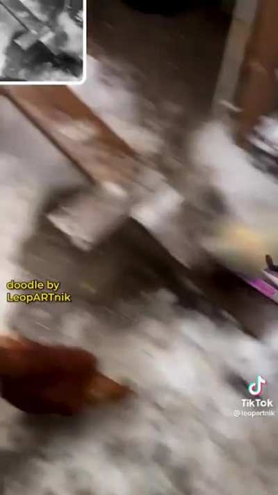 Chickski