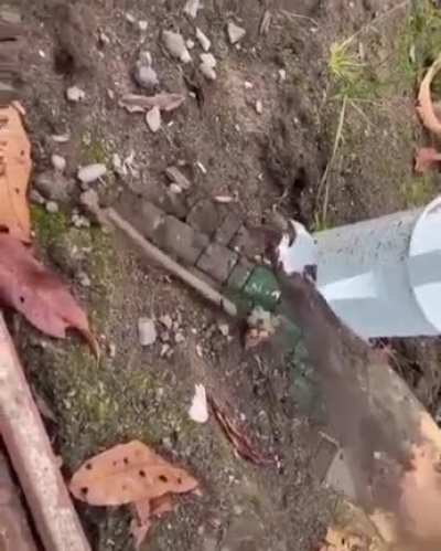 Птчк...