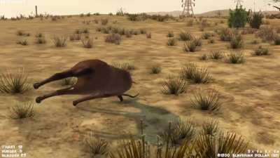 Struggling with AI animals