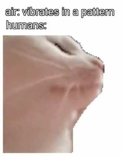 catJAM