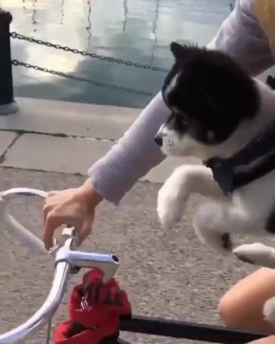to swim