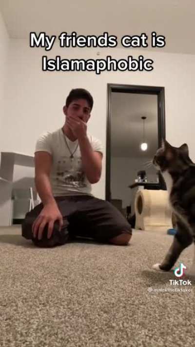 Islamaphobic cat?? 🐱