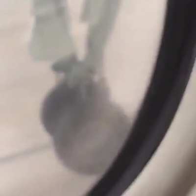 Ladies and gentlemen, this is the captain speaking - Buckle the fuck up YEEEHAAAAA