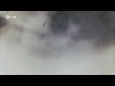 A Compilation of Colorized German Footage from World War 1.