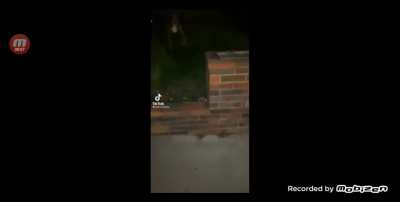 That frog have good day (go to 00:09) sorry for is suck