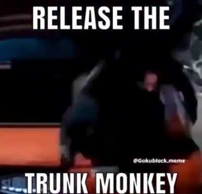 I need one of those