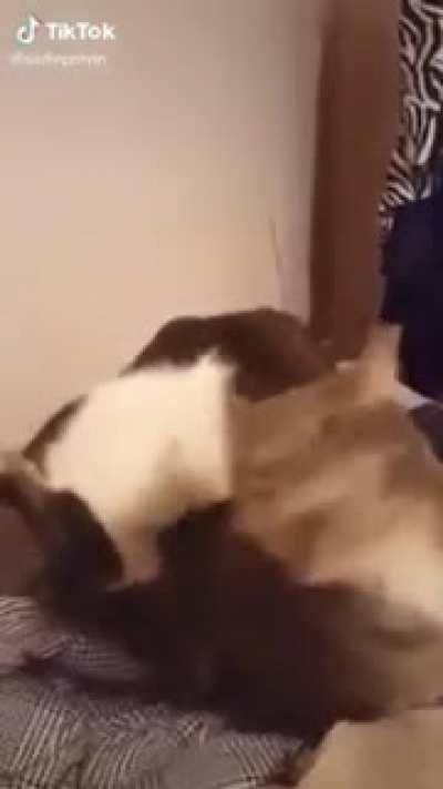 How the turn tables...