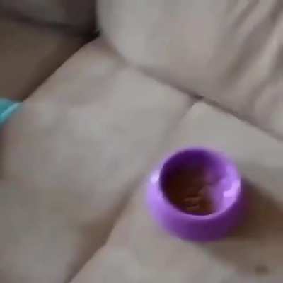 When food is life