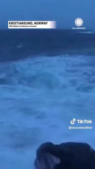 Slapped by Fish