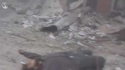 SAA artillery pounds besieged Darayya, slaughtering men and animals alike. Darayya, Syria. May 2016 NSFW