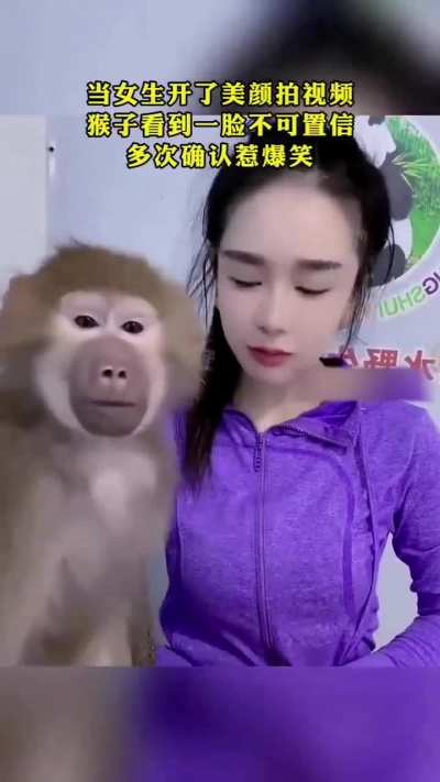 猴哥疑惑