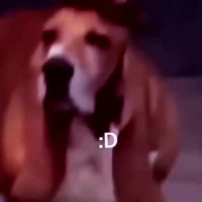 rule