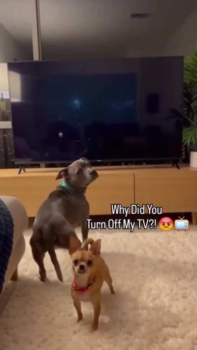 Cute.. 😂