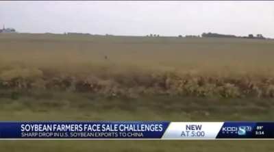 SOYBEAN FARMER🧑&zwj;🌾 : &ldquo;It&rsquo;s not good for anybody. Best case scenario is we never have to talk about tariffs again. Free trade is the answer.&rdquo;

China is now buying $0 from us &mdash; and soybeans are Tennessee&rsquo;s #1 cash crop. Why don&rsquo;t 
Governor Bill Lee, Marsha B