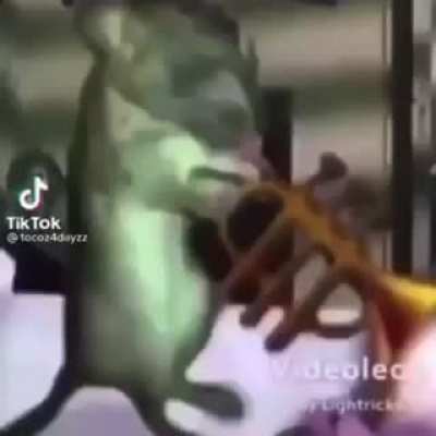 this video was uploaded to tiktok.com